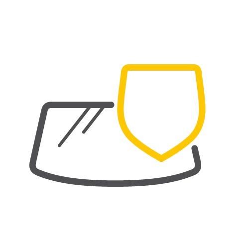 Защита лобового стекла